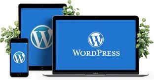 بناء متجر احترافي على WordPress - الصورة 7